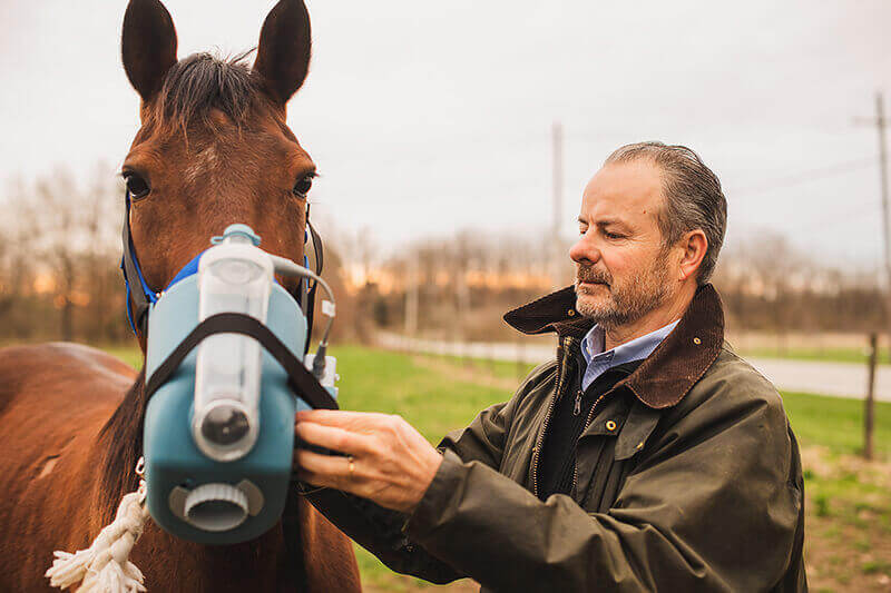 علاج حساسية الخيل